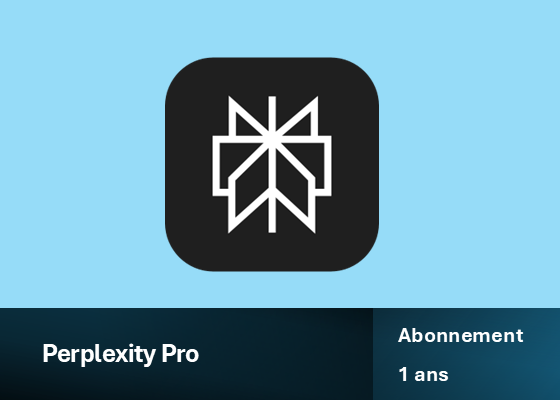 Perplexity Pro 1 an